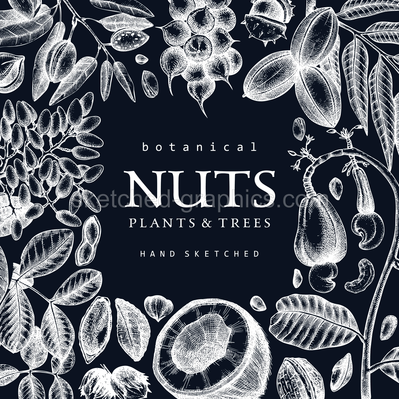 Vector nuts frame on chalkboard. Vintage nuts background in sketched style. Healthy food ingredients template with botanical illustrations. Realistic branches, plants, fruits, nutshells sketches. Illustration